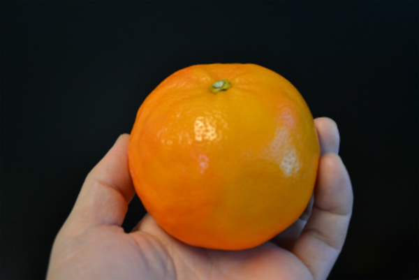 【和歌山の甘いみかんの通販　期間限定】今の時期の柑橘ってすっぱいイメージが・・・・？